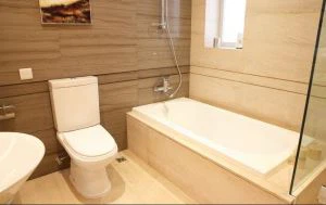 PMMA / ABS-Platte Badewanne Closestool